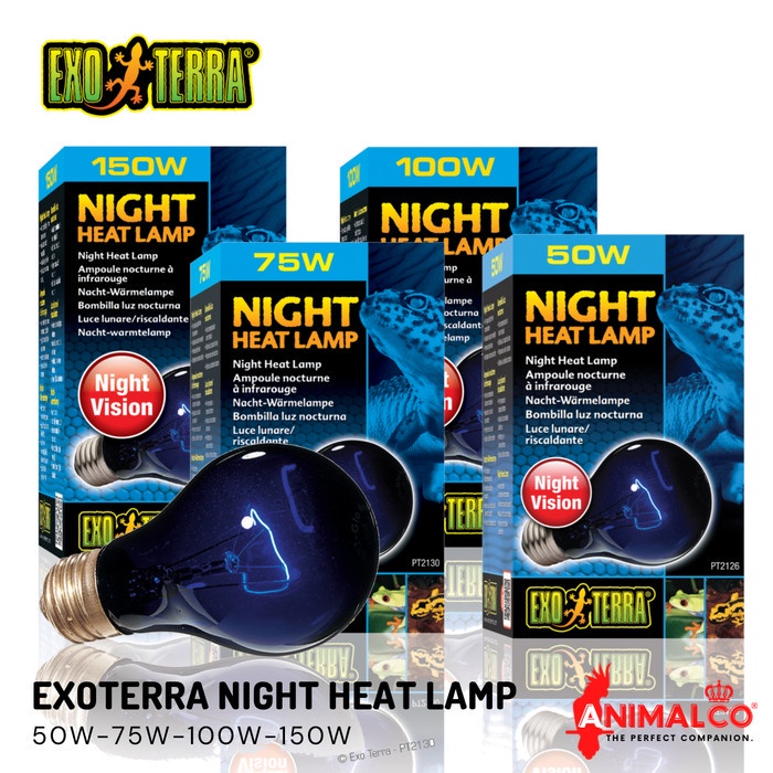 Night HEAT LAMP EXOTERRA REPTILE SULCATA NIGHT Warmer LAMP | Shopee ...