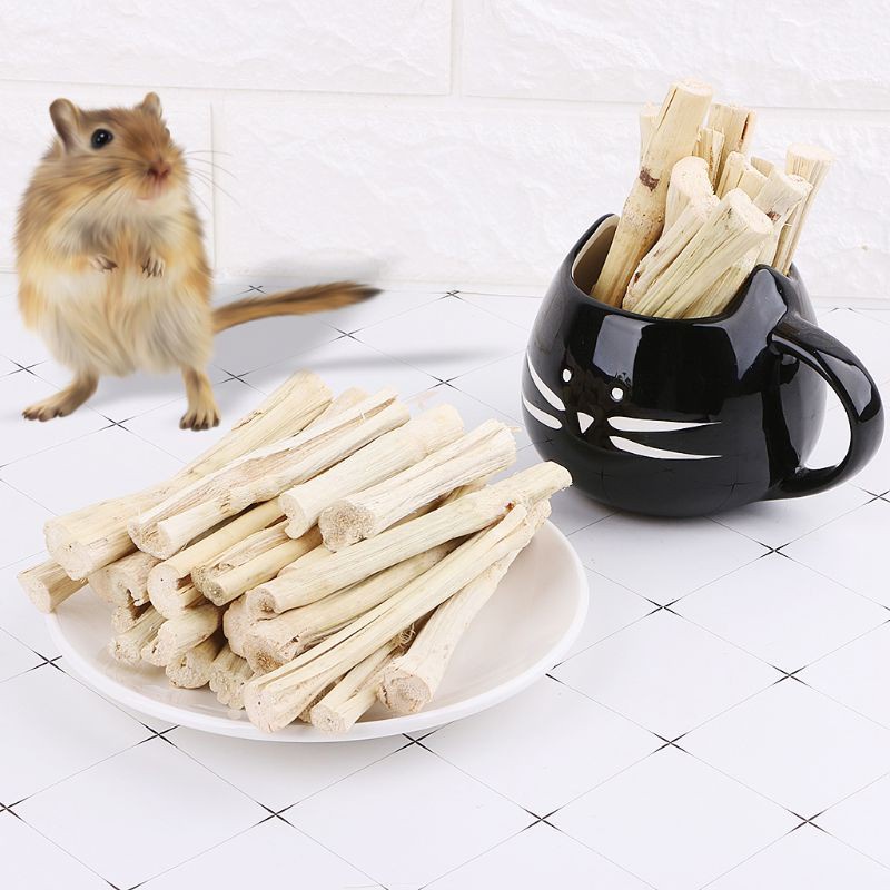 500g Sweet Bamboo Stick small animal Treat Molar Chew Toy live plants
