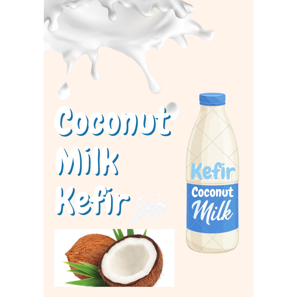 Coconut Milk Kefir 330ML Probiotic For Metro Manila/Calabarzon Only