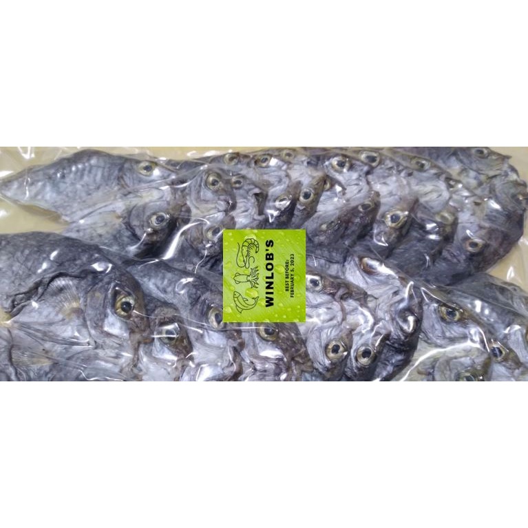 Danggit Boneless Dried Fish 250 grams Shopee Philippines