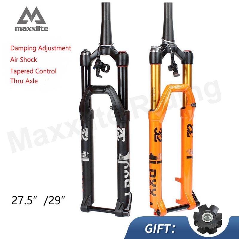 Mountain bike best sale forks 29