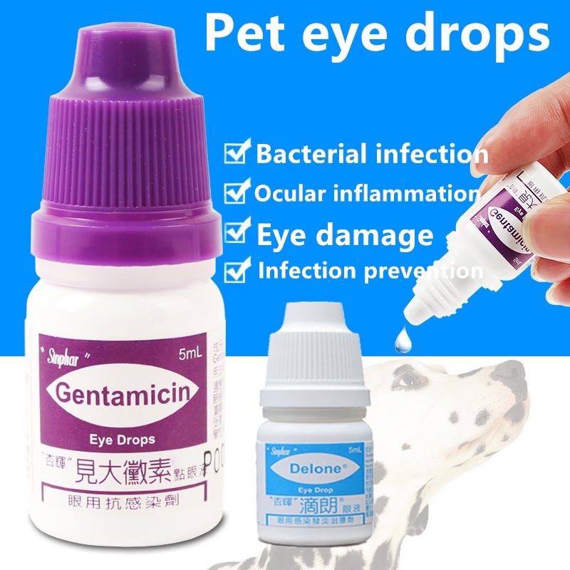 Sinphar Gentamicin Eye Drops for Pets 5ml Shopee Philippines