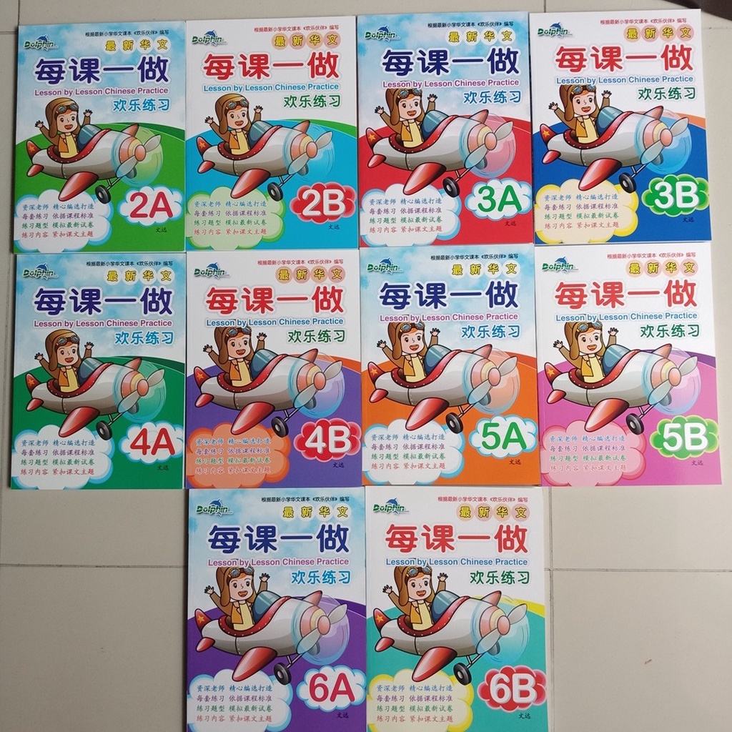 Lesson Book by Lesson Chinese Practice Primary 2 - 6 (Selection Per ...