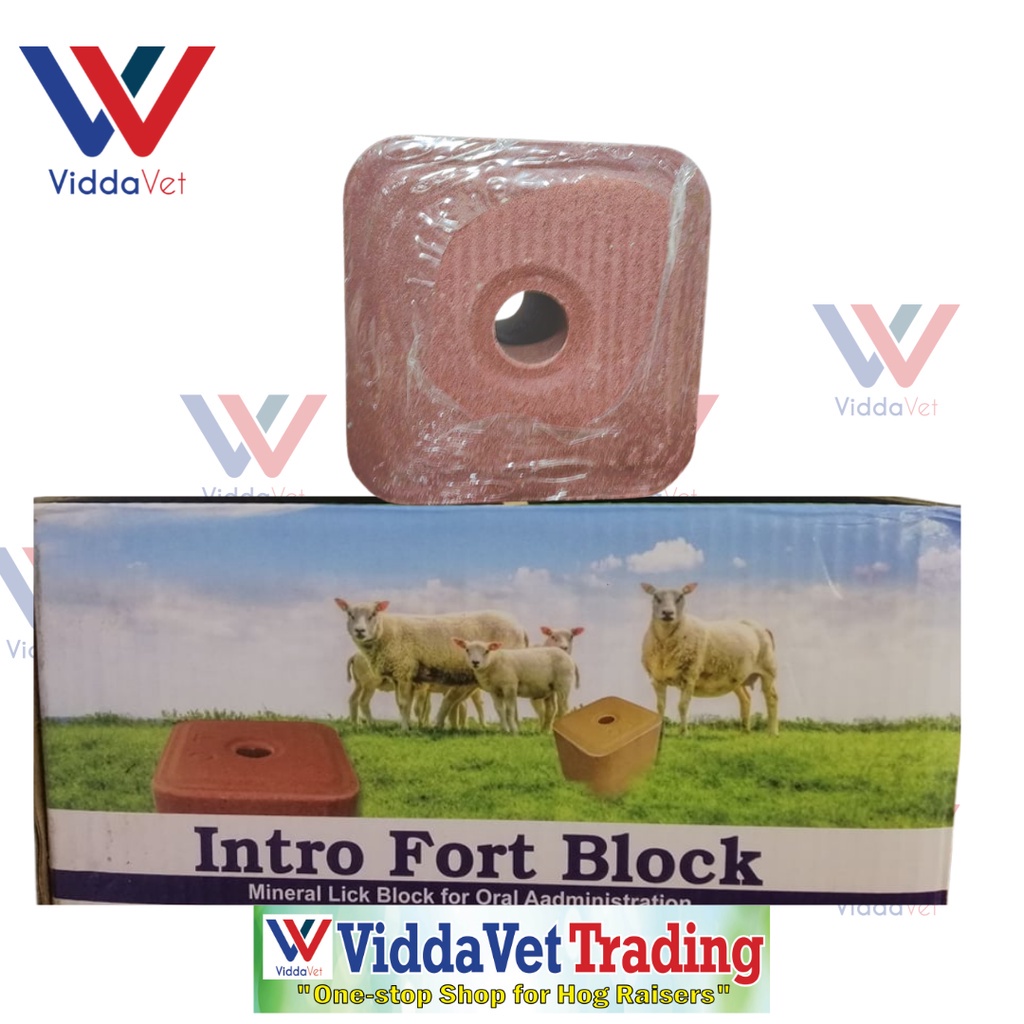 Intro Fort Block Mineral Block 5kgs Holland for Cattle Sheep Goat ...