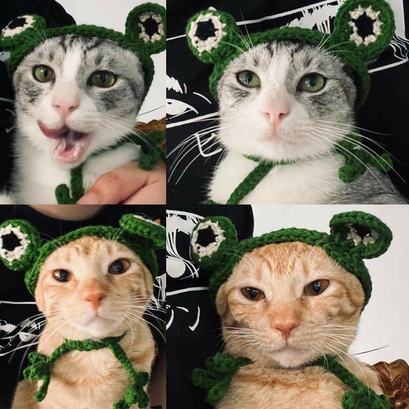 Crochet Frog Hat For Cat And Small Puppy Dog Shopee Philippines