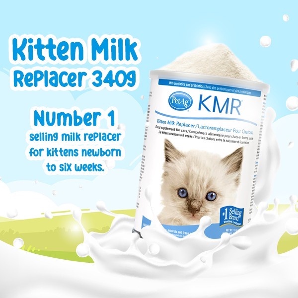 Kmr milk best sale