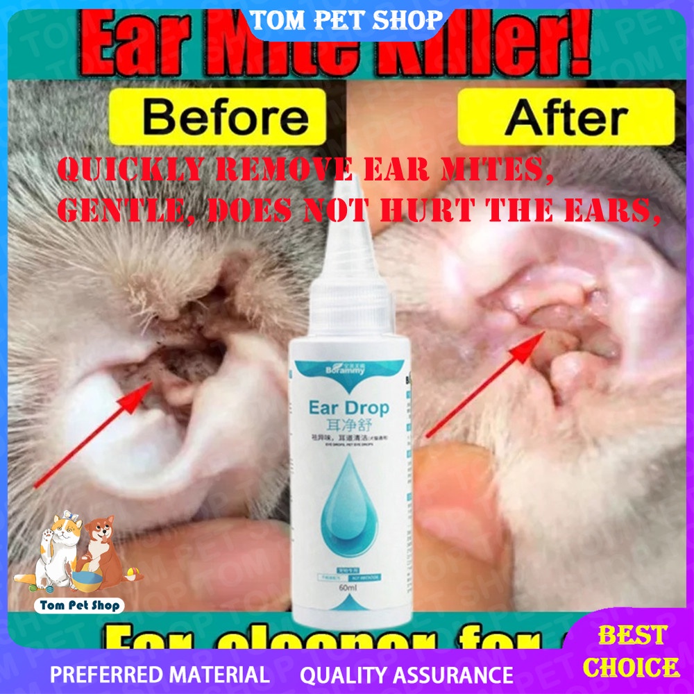 All Clear Ear Drops for Ear Mite Treatment in Cats and Dogs - Chubby Meows