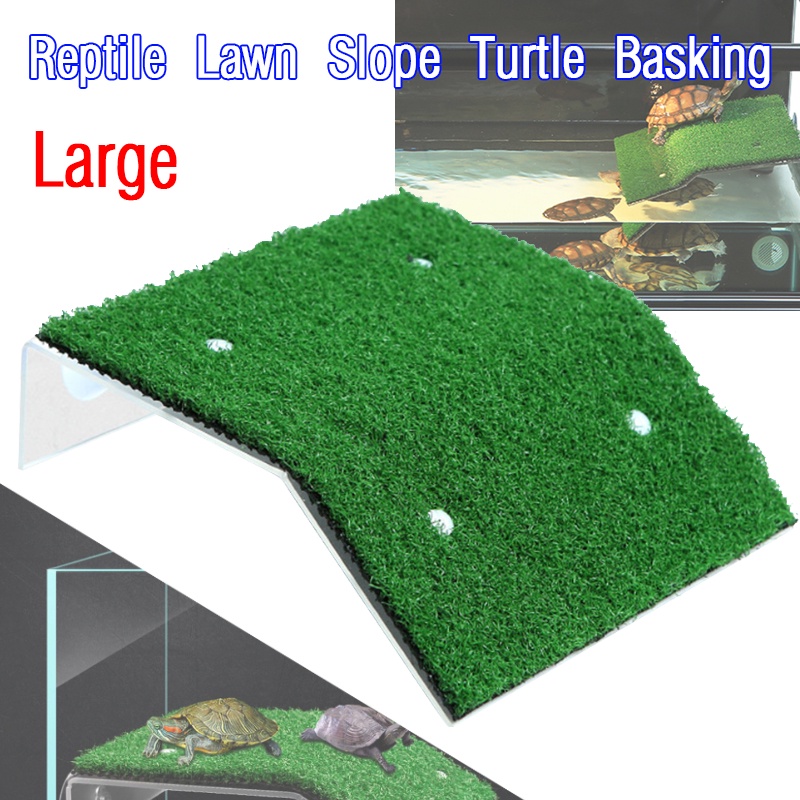 Turtle Basking Drying Platform Suction Cup Tortoise Climbing for Fish ...