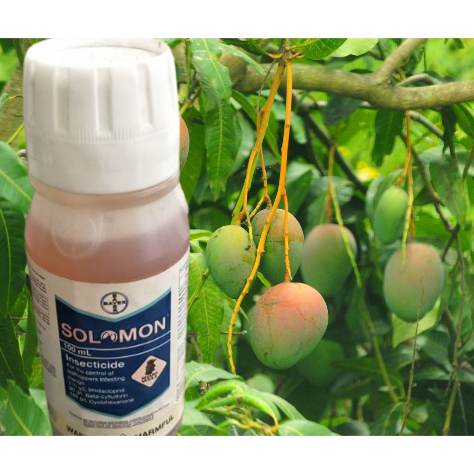 Solomon by bayer IMIDACLOPRID + BETA-CYFLUTHRIN 300 OD INSECTICIDE ...