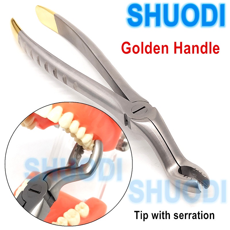 Dental Adult Tooth Extraction Forcep Plier Teeth Extraction Plier