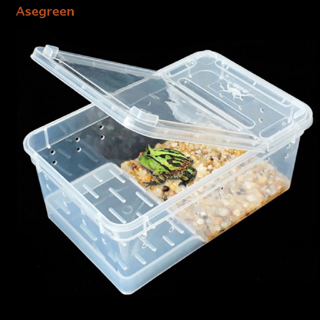 Asegreen Reptile box Mantis jumping spider silkworm rearing box reptile ...