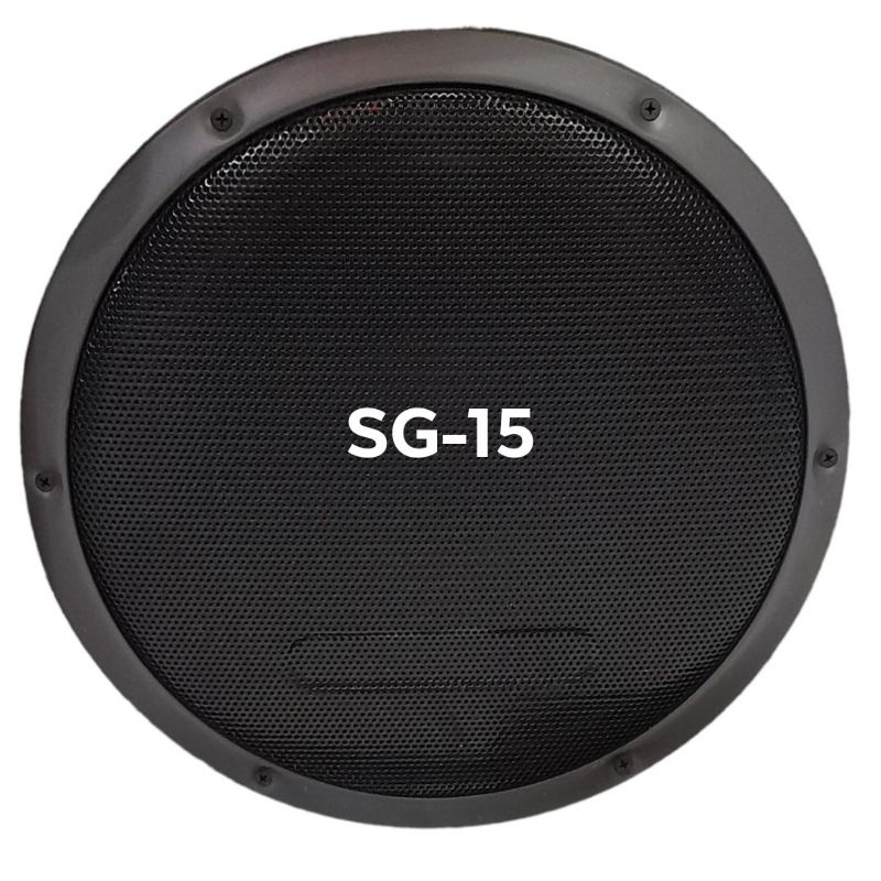 SPEAKER 15