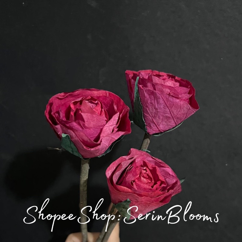 Fossilized Rose (Petite)sold per piece 4-5cm | Shopee Philippines