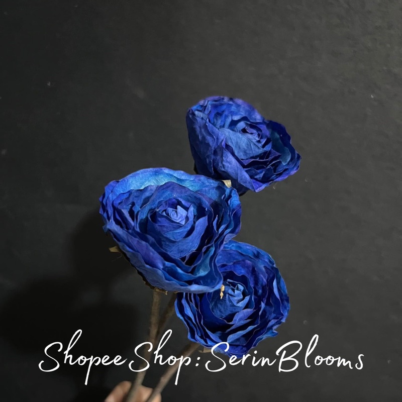 Fossilized Rose (Petite)sold per piece 4-5cm | Shopee Philippines