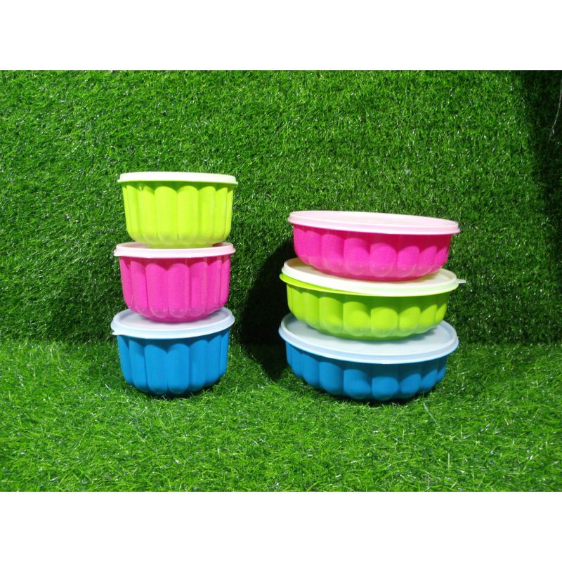 202 Sunnyware Gelatin Jello aplastic Molds Small (Random) Shopee