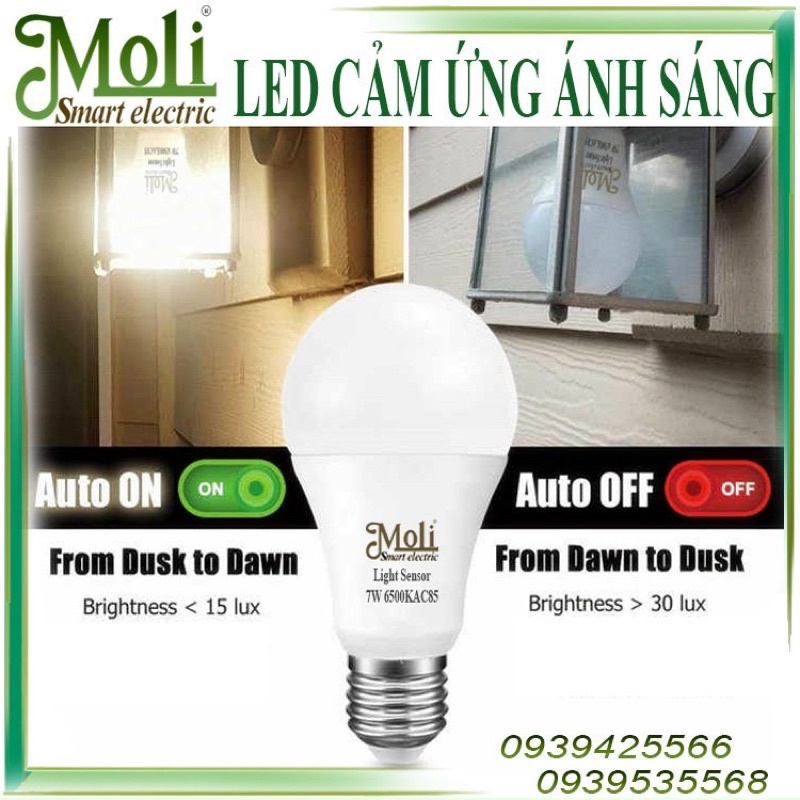 Moli LIGHT SENSOR LED LIGHT | Shopee Philippines