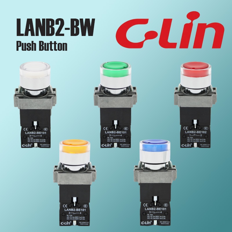 LANB2-BW Push Button Switch With Power Display 22mm.24VAC/DC Lighting ...