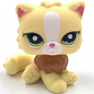 LPS CAT rare Littlest pet shop cute toys standing short hair cat original  kitten husky puppy dog fox animal old bobble head toys