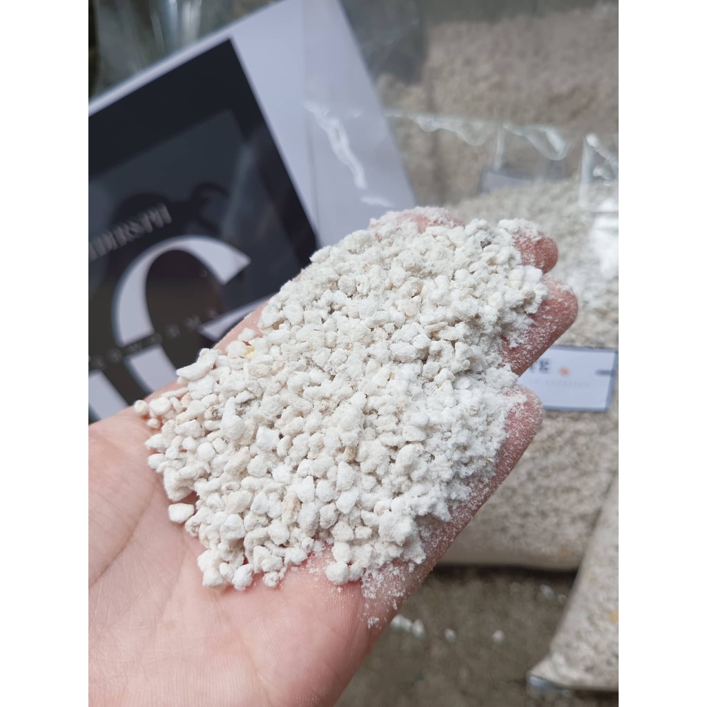 Perlite (1L) Good for incubation of eggs (reptiles) Shopee Philippines