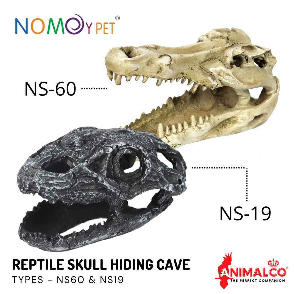 Hiding CAVE GOA HIDING GOA HIDING Cage REPTILE House REPTILE SKULL HIDE ...