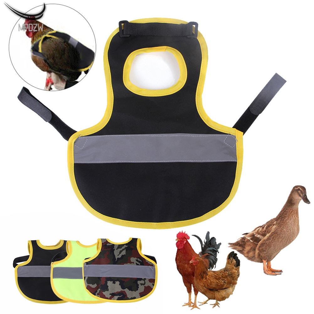 Poultry Feathers Protection Pet Vest With Adjustable Straps Chicken