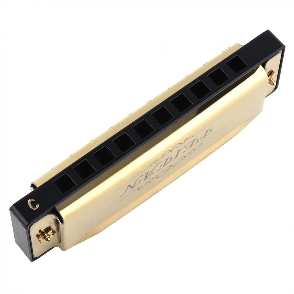 10 Holes 20 ToneC Matte Harmonica Blues Harp Mouth Organ Stainless ...