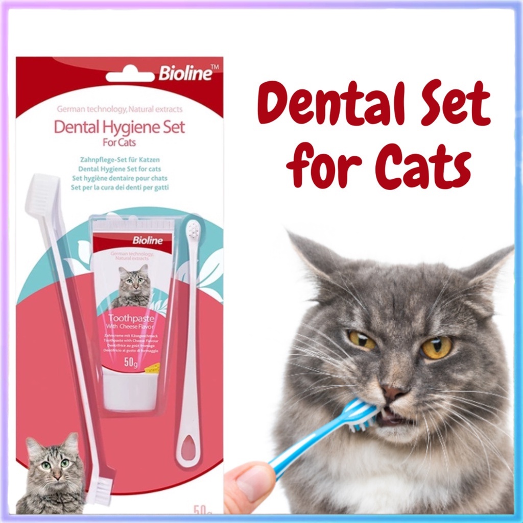 Bioline Dental Hygiene Toothpaste Set for Cats Cheese Flavor 50g