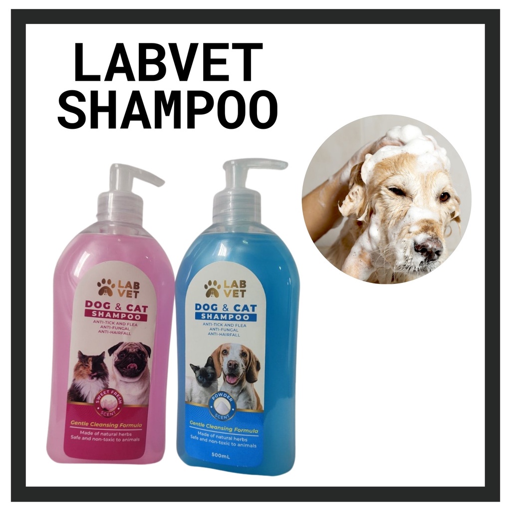 Labra best sale dog shampoo