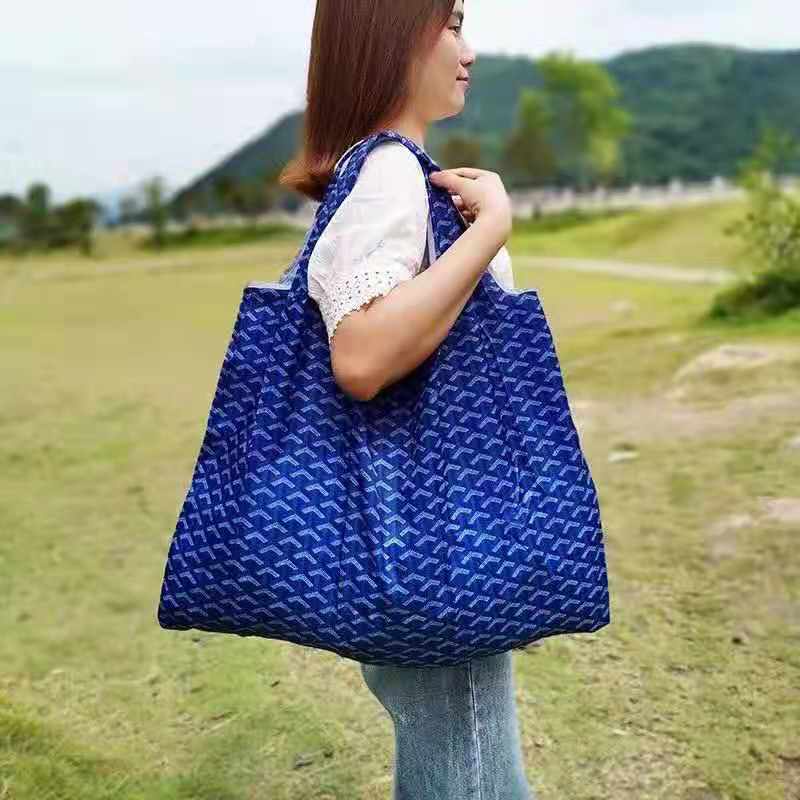 Goyard Blue 'Boeing 55' Bag