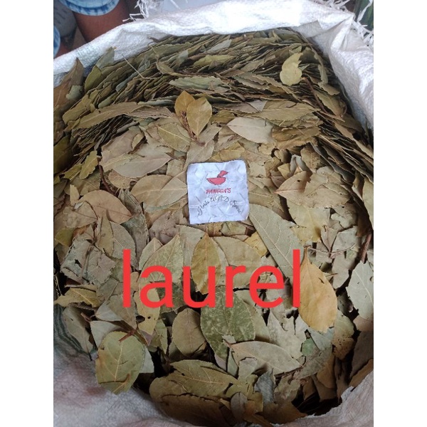 LAUREL Leaves /Bay leaves Available (1kg/500g/250g) | Shopee Philippines