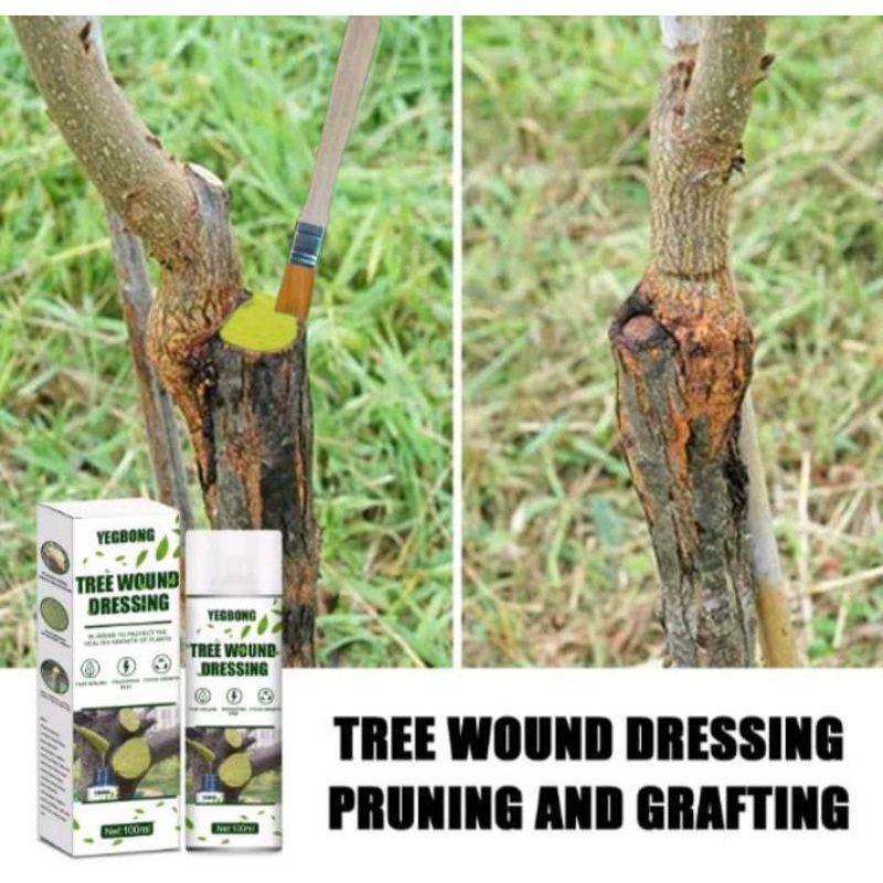 CUT PASTE 100G PLANT WOUND HEALING AGENT Shopee Philippines