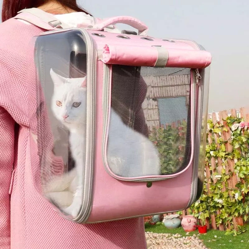 Nylon cat outlet carrier