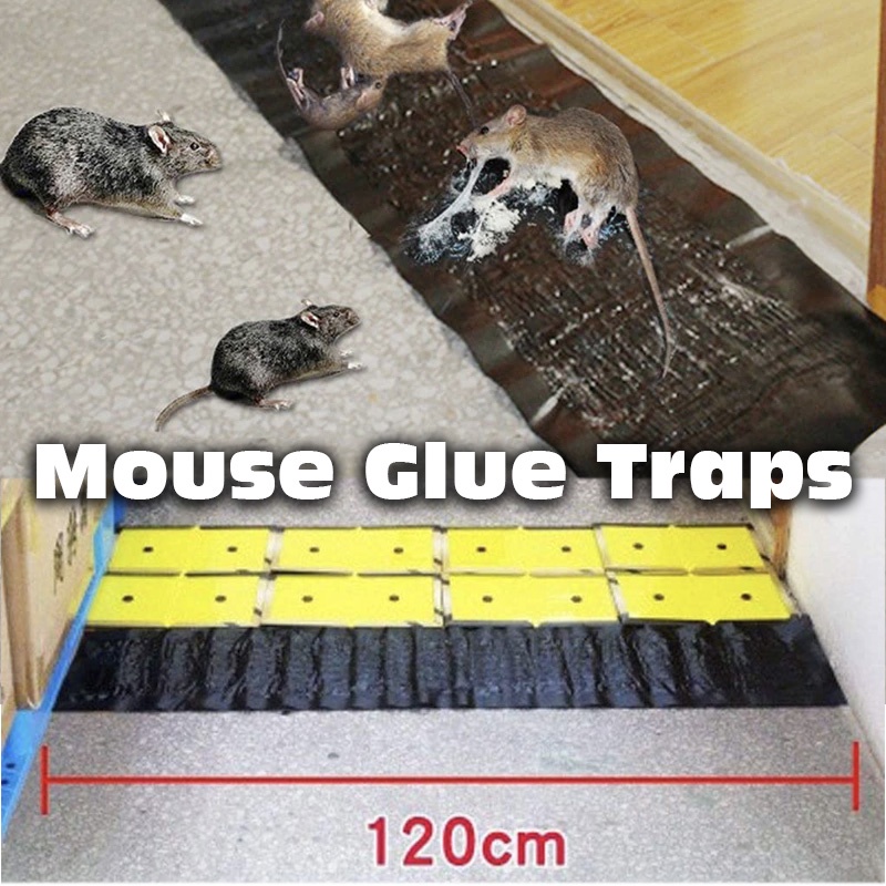 1.2M Sticky Mice Glue Trap Mouse Sticking Mouse Board Kitchen Bait Trap ...