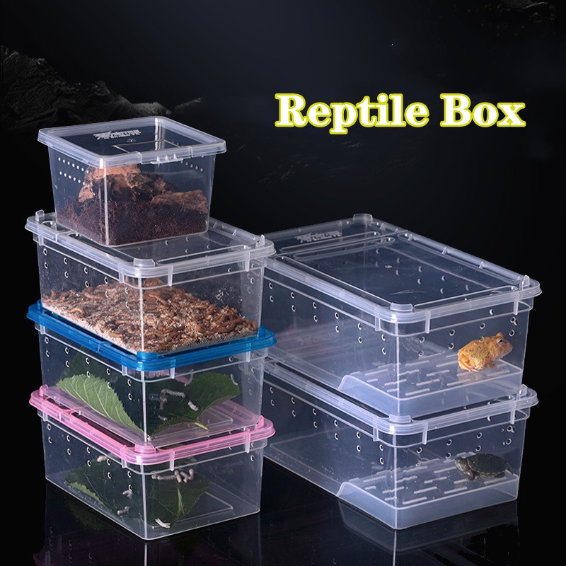 Reptile Feeding Box Snake Breeding Container Transparent Hatching