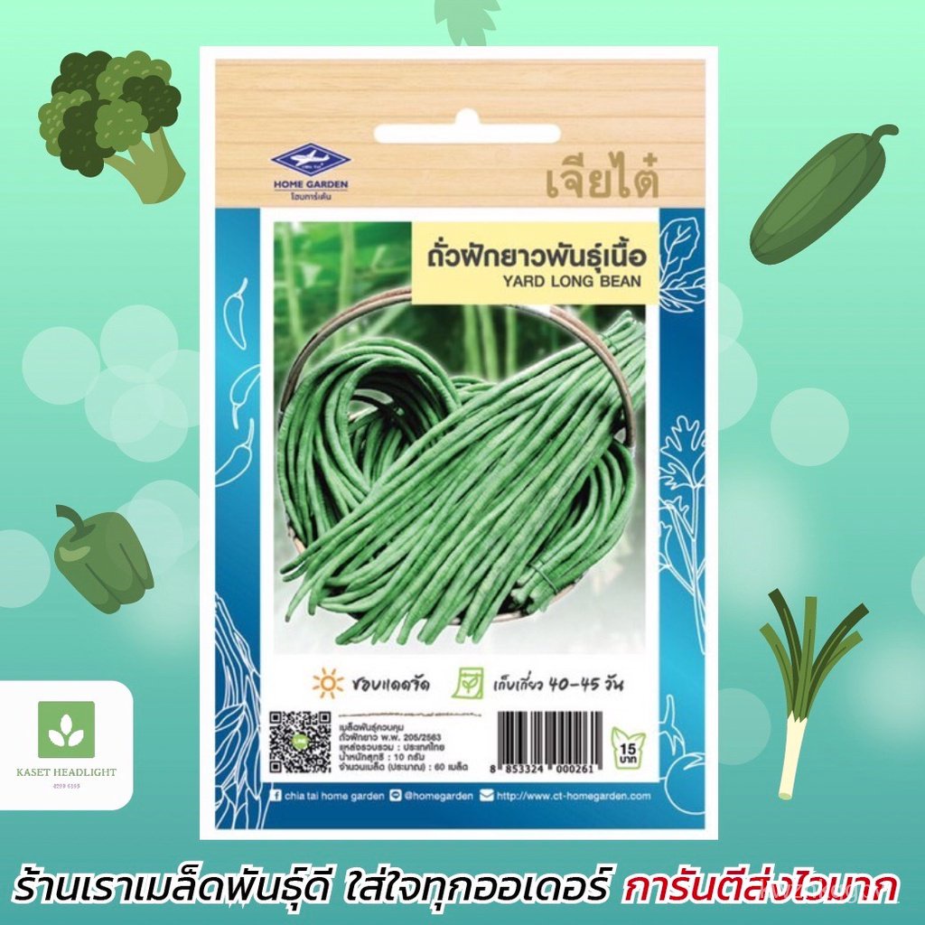 High quality seeds in stock in Thailand cowpea seeds, chia seeds