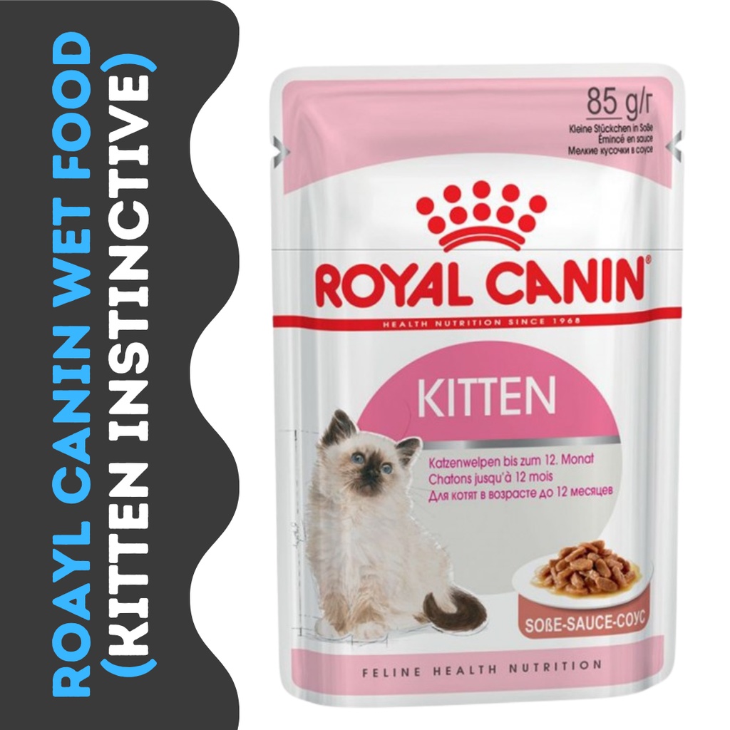 Royal hotsell canin himalayan