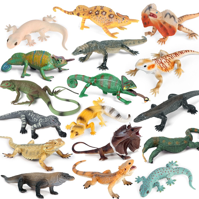 Simulation Reptile Lizard Chameleon Geckos Insect Animals Model Action ...