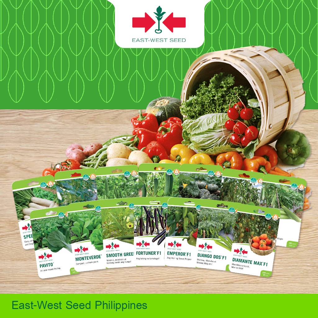 Eastwest Seed [SUGAR DELUXE F1] Pakwan/Watermelon Go Grow Pack | Shopee ...