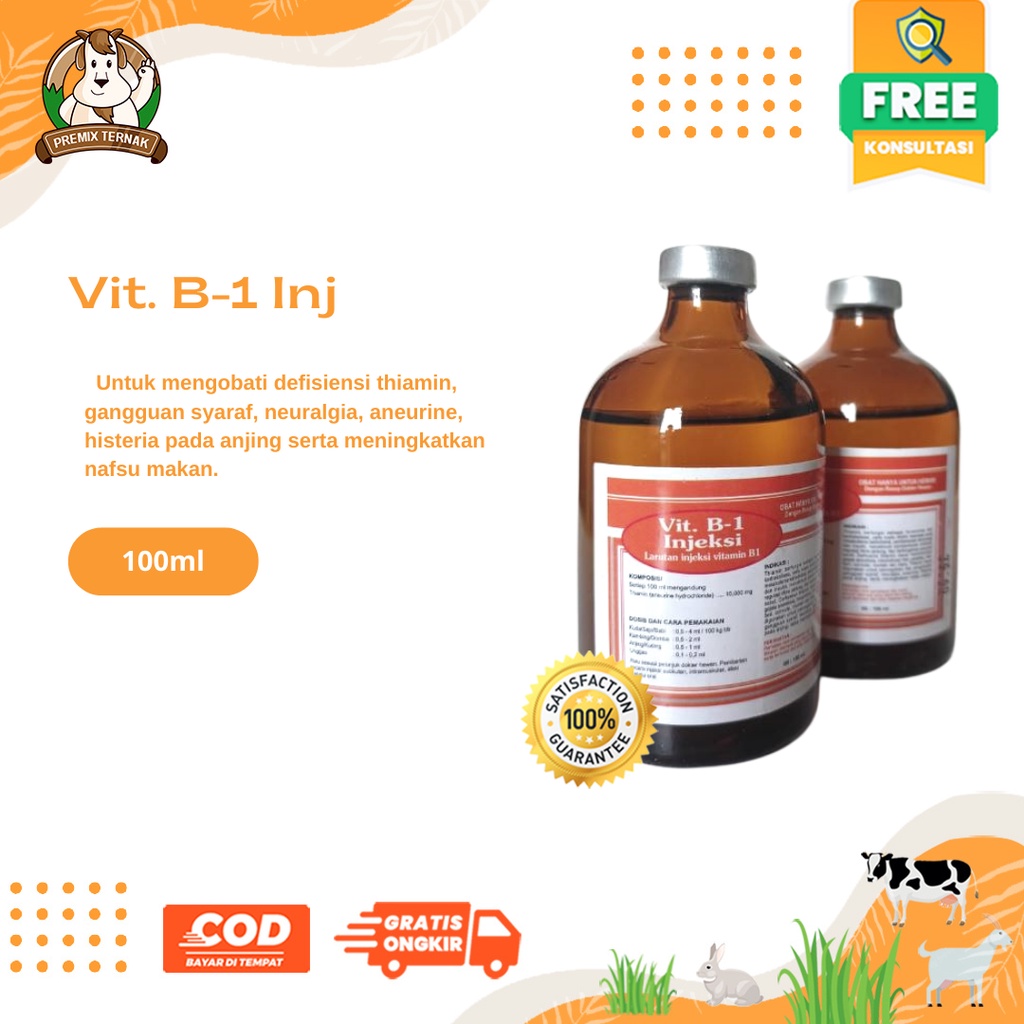 Vitamin B1 Injection 100ml (orange) - Livestock Paralysis Medicine ...