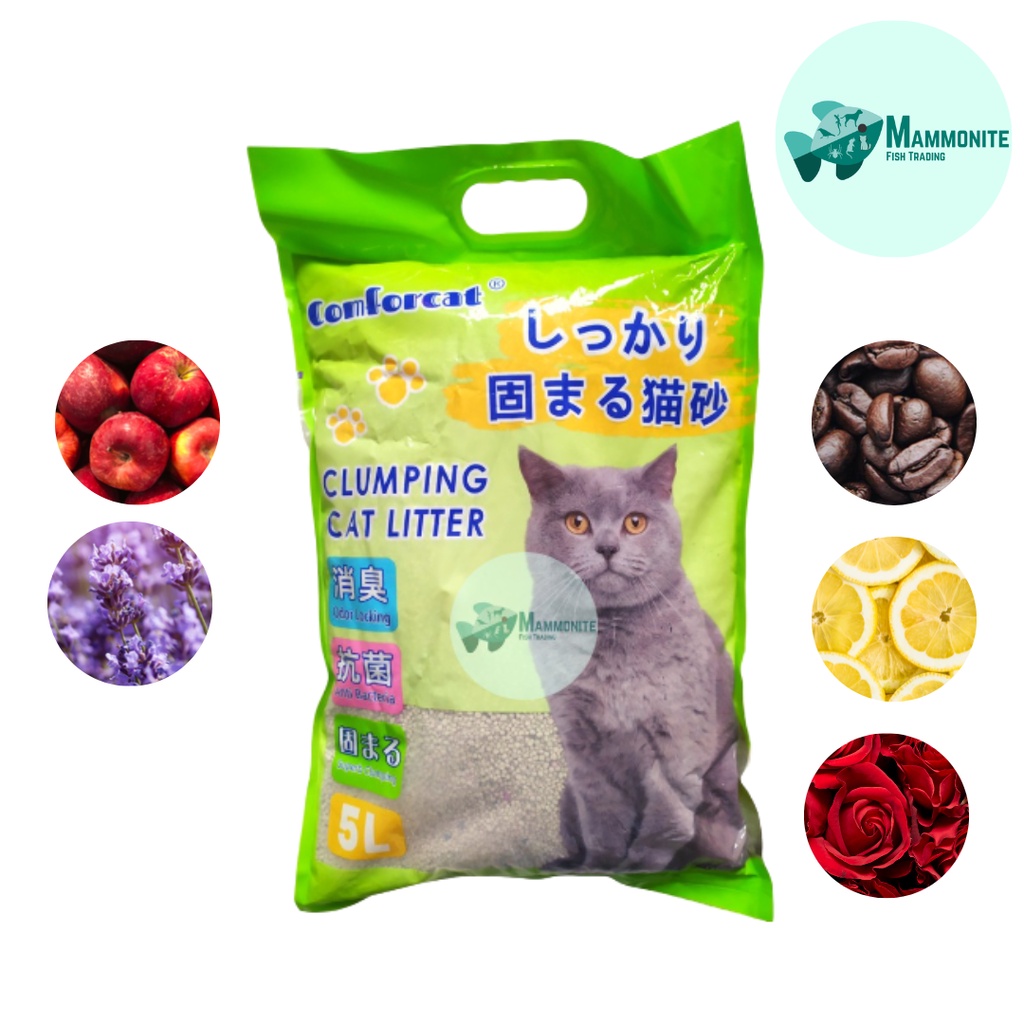 Comforcat Clumping Cat Litter Flavored 5 Liters 10 Liters 100 Bentonite Prevents Bacterial