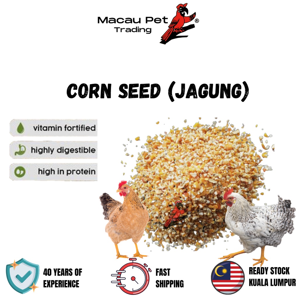 Mpt 1Kg Fine Corn Bran Corn Chicken Food Serama Chicken Bran Serama