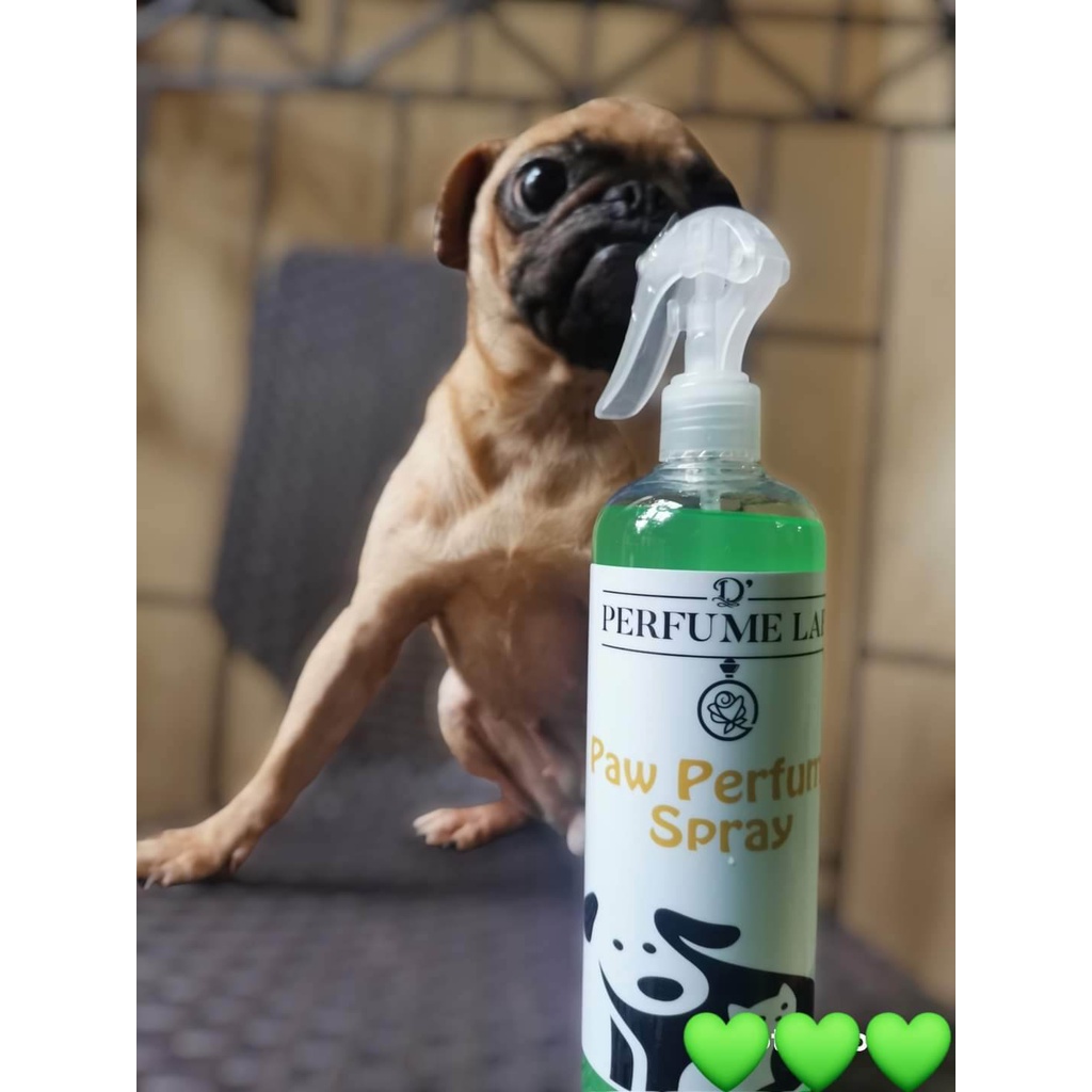 Paw Perfume Antibacterial / Disinfectant Spray 500mL Shopee Philippines