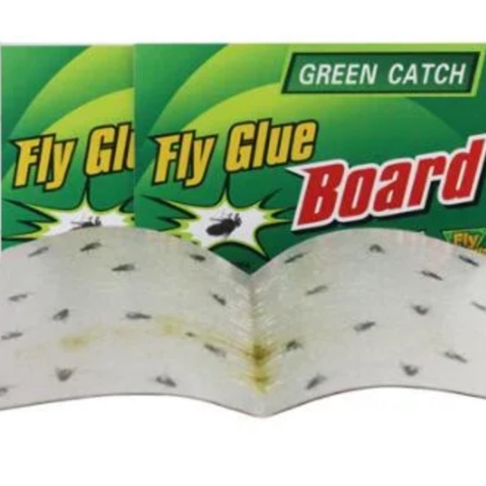 Fly Glue Board Fly/Langaw Catcher Glue Board Strong Sticky Pest/Flies ...