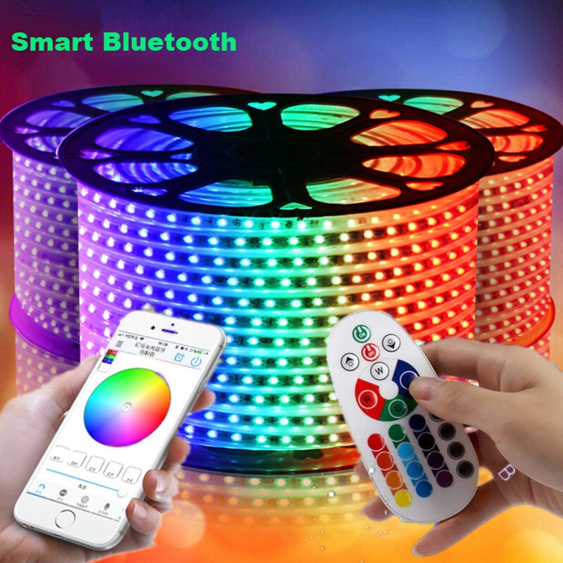 Acedeal LED Strip Light Waterproof 220V RGB Remote control SMD 5050 WiFi Bluetooth Phone APP control light Shopee Philippines