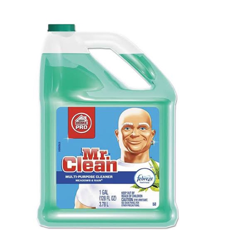 Mr Clean Meadows Rain Multipurpose Cleaner Shopee Philippines
