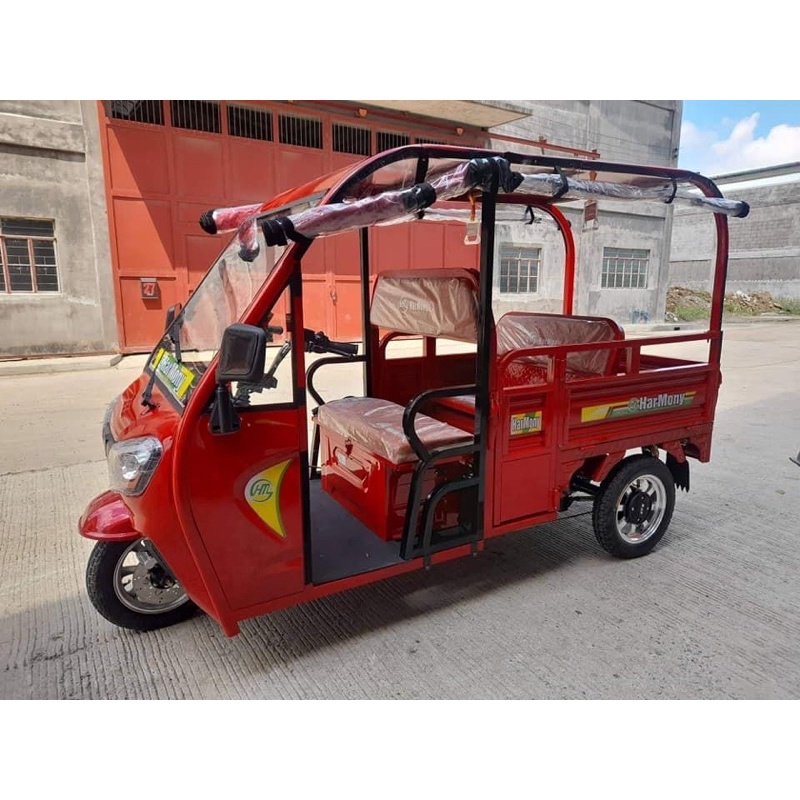E bike price 3 wheels hotsell