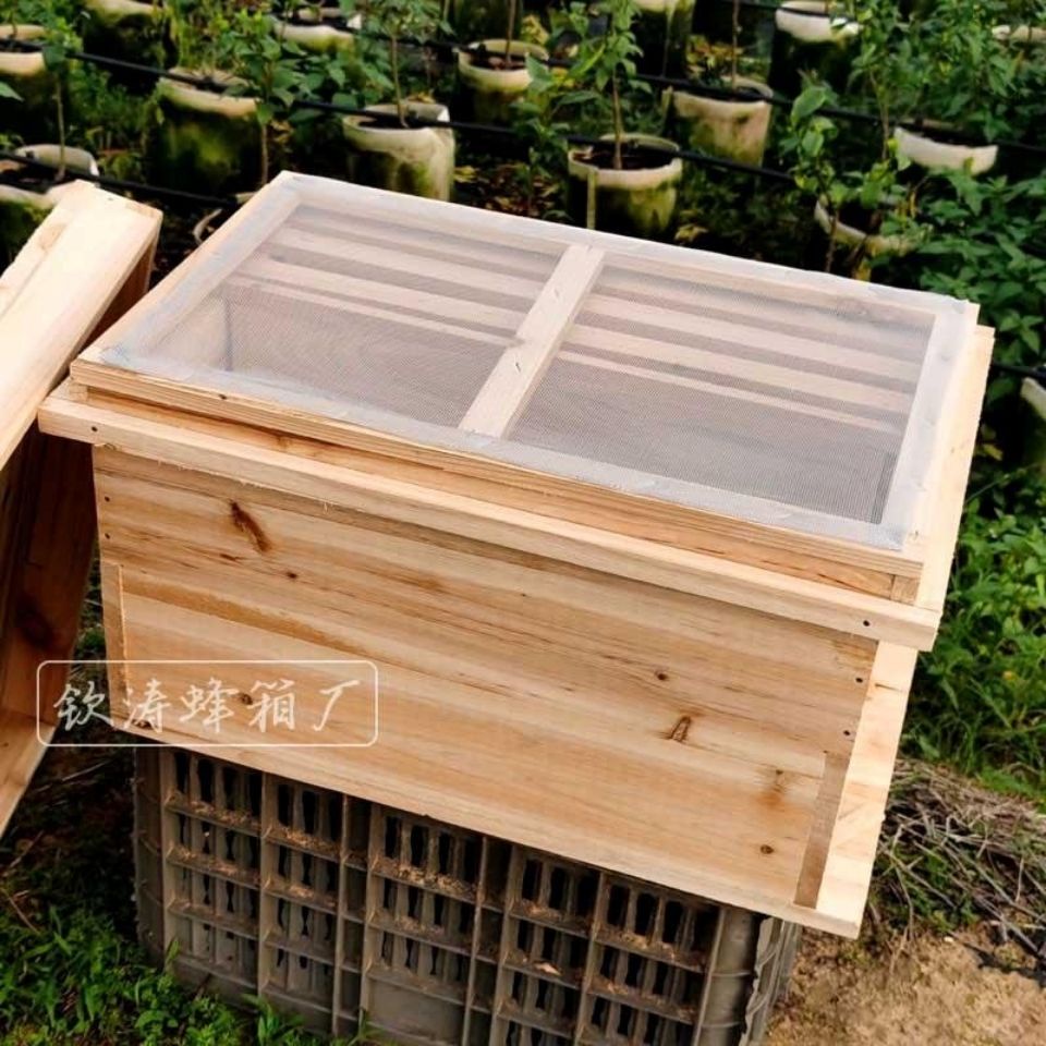 Seven-Frame Hive Standard Apis Cerana Bee Hive Hive Whole Fir Hive ...