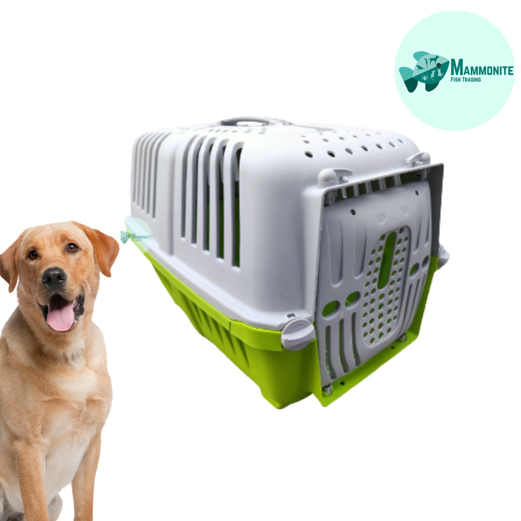 Dog carrier shopee hotsell