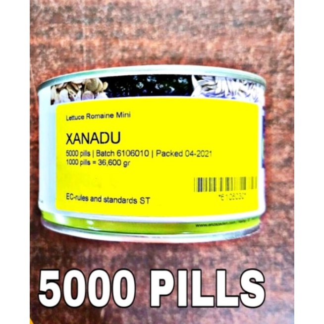 XANADU MINI ROMAINE LETTUCE SEEDS 10 GRAMS (ENZA ZADEN) Shopee