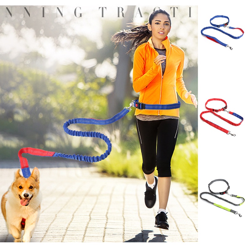 Dog Walking Retractable Waist Dog Leash High Qulity Retractable